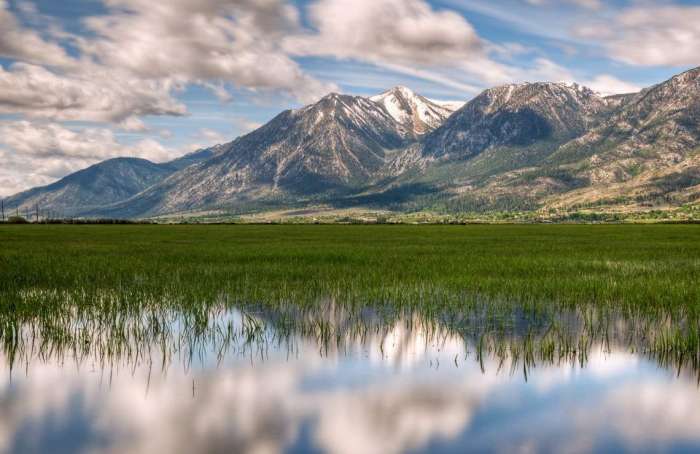 Learn more about Carson Valley