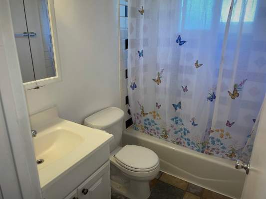11-Bathroom-3463-Vista-Grande-Carson-City-NV-by-Megan-LoPresti
